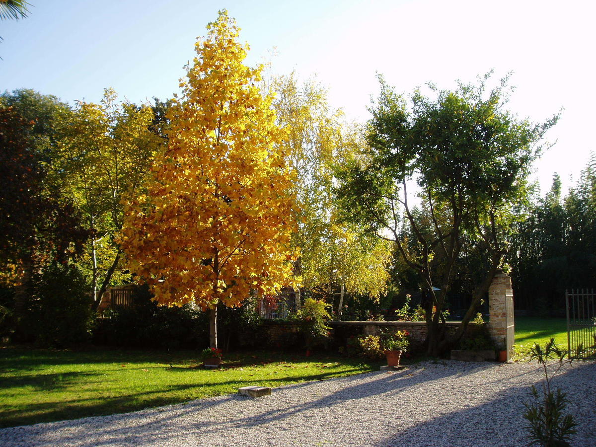 Bed and Breakfast Borgo Palazzo Steffaneo San Vito al Torre Номер фото